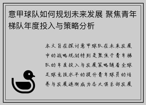 意甲球队如何规划未来发展 聚焦青年梯队年度投入与策略分析